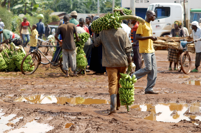 Farmers in the region have small plots and few resources to grow crops. Even though their harvest is usually small, they need to sell part of it to pay for school fees or medical care. However, the prices they get on the local markets are often low, especially if they are trying to sell the same produce at the same time. Getting paid by the bunch, instead of kilos, also contributes to the problem. 