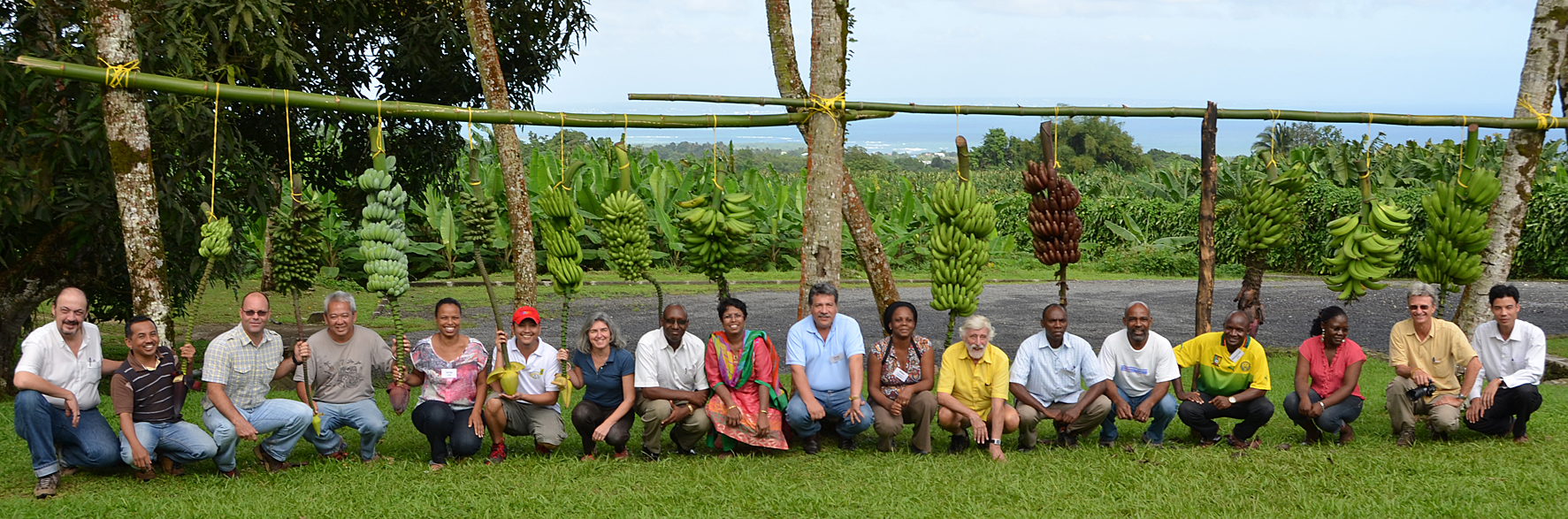 From left: J.-P. Horry, A. Sutanto, B. Irish, M. Wong, J. Serejo, L. Gueco, I. van denHouwe, F. Ngezahayo, U. Subarraya, J. Sandoval, N. Paulo de la Reberdiere, E. de Langhe, S. Muhangi, K. Tomekpe, E. Fondi, D. Amah, J. Daniells and P. Ngô Xuân.