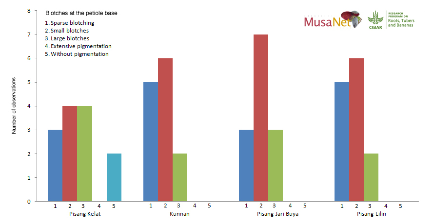 Spread of answers given by 13 curators scoring the same descriptor on 4 different accessions.
