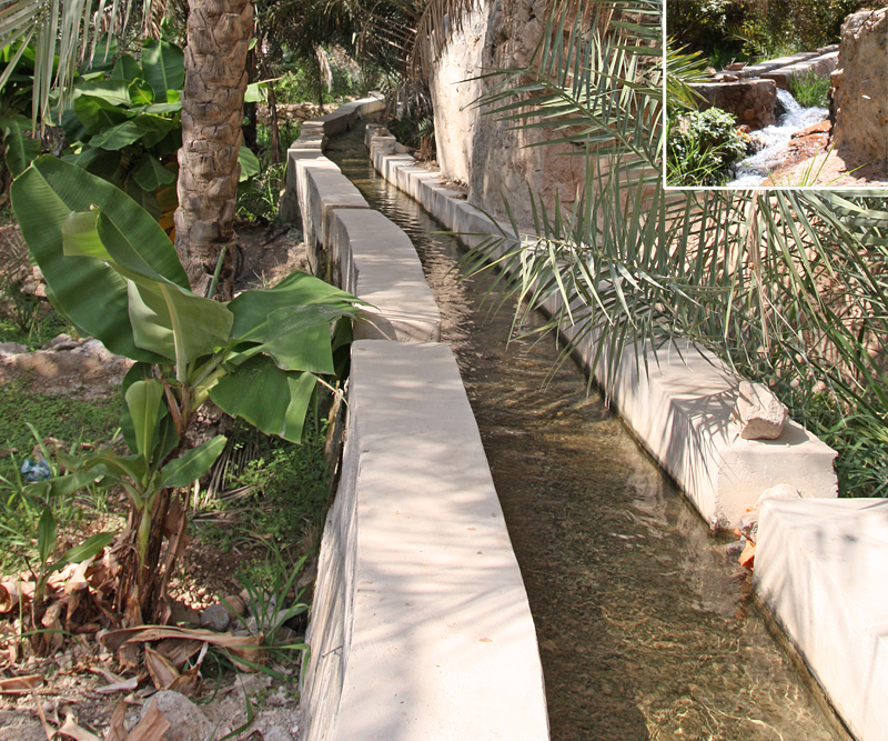 The traditional flood irrigation system is the falaj, a gently sloping channel interspersed with shafts through which the water is let out (insert). (Photos by S. Behrendt)