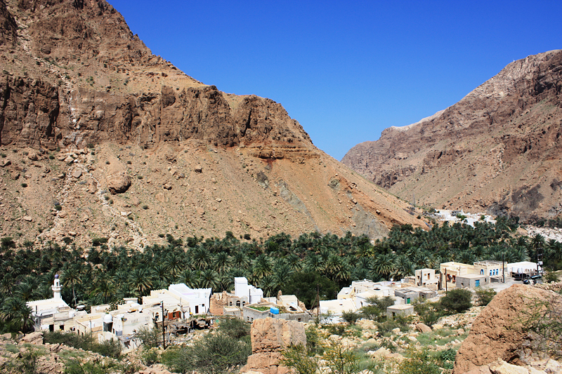 Harat Bida, one of the villages surveyed along the Wadi Tiwi. Strategically located at the crossroads of trade routes, the valley is host to a diversity of cultivars probably introduced from India and possibly East Africa. (Photo by S. Behrendt)