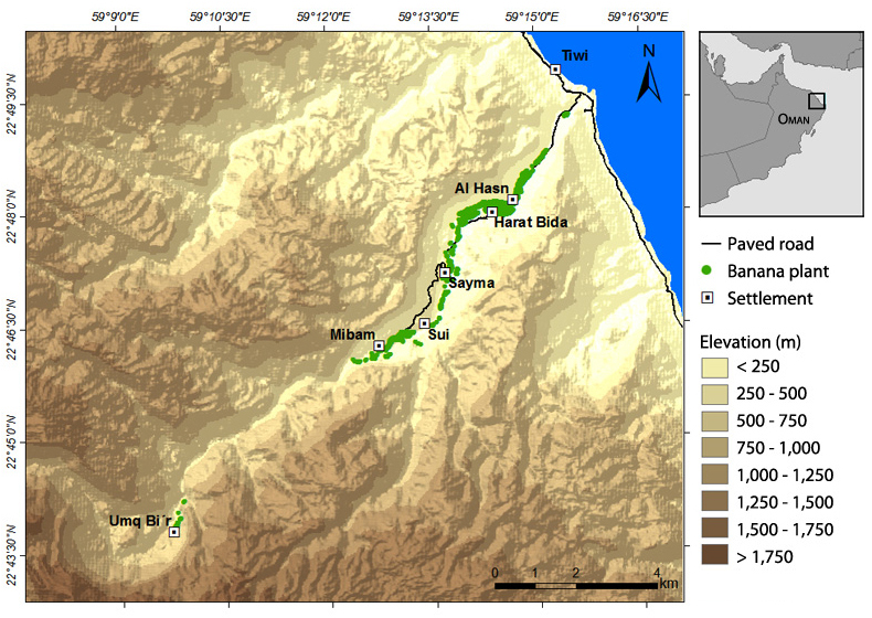 Location of the settlements and of the banana plants recorded during the 2010 survey of Wadi Tiwi. (Map by K. Brinkmann)