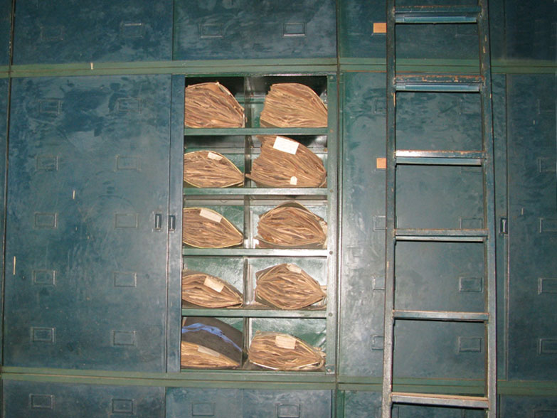 The research conducted at the station covered commercial and food crops, general ecology and natural history. The station’s herbarium had, over the years, become a refuge for the surviving elements of a Congo-wide collecting missions. Some 150,000 species of plants and animals were classified and catalogued. It has since been looted, but dozens of drawers are still filled with samples collected by hundreds of botanists, all Belgian. (Photo Dan Koeppel)
