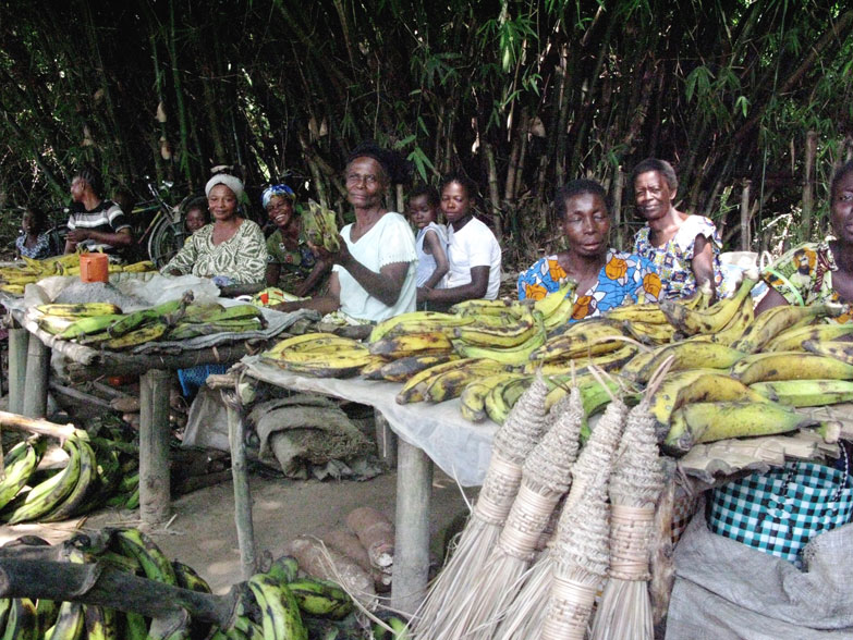 To this day the Democratic Republic of the Congo is filled with bananas, mostly plantains. They're in every community, every streetside market, in the gardens of churches and schools. (Photo Dan Koeppel)