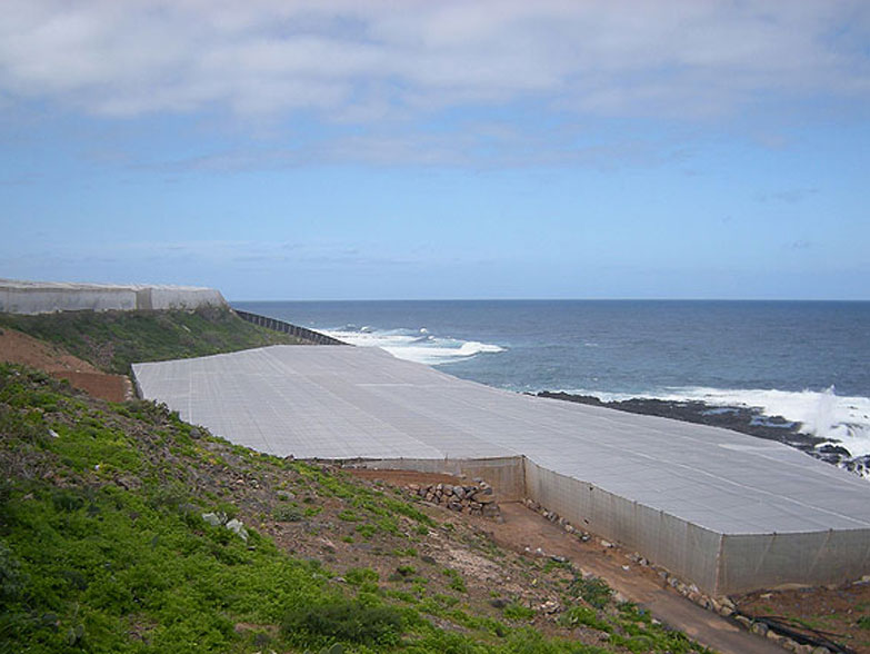 Greenhouses currently cover over a third of the 9,000 hectares dedicated to banana cultivation. Plastic sheeting reduces UV radiation and prevent invasions by white flies. It also protects the crop from salt spray in coastal areas.