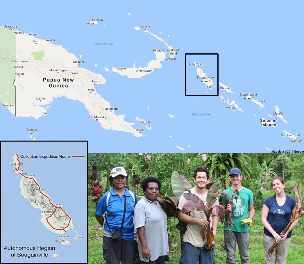 Although the Autonomous Region of Bougainville is politically part of Papua New Guinea, it is geographically and culturally part of the Solomon Islands archipelago. The collecting team (from left to right, Gou Rauka, Janet Paofa, Gabriel Sachter-Smith, Steven Janssens and Julie Sardos) visited the region between the 19th and 31st of October 2016. (Photo by Zohn Bosco Miriona)