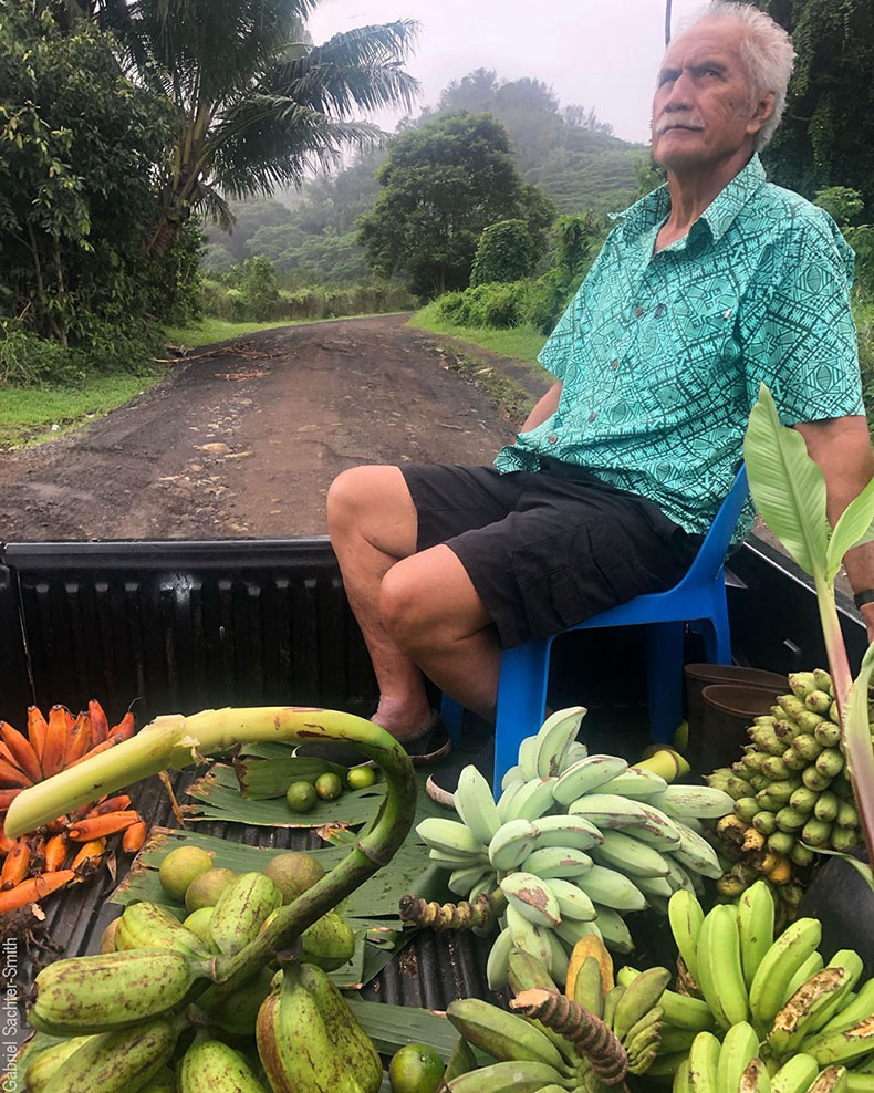 Cruising the island of Rarotonga in the Cook Islands with Papa Moe to get a sense of the place and of the banana diversity. It takes only a couple of hours to drive all the roads on the island. The fruit haul we amassed in one afternoon were gifts from local residents, and a good sign of the welcoming and friendly nature of the small community. In the lot are bananas that are traditional Pacific cultivars brought by early settlers, mixed with more recent introductions.