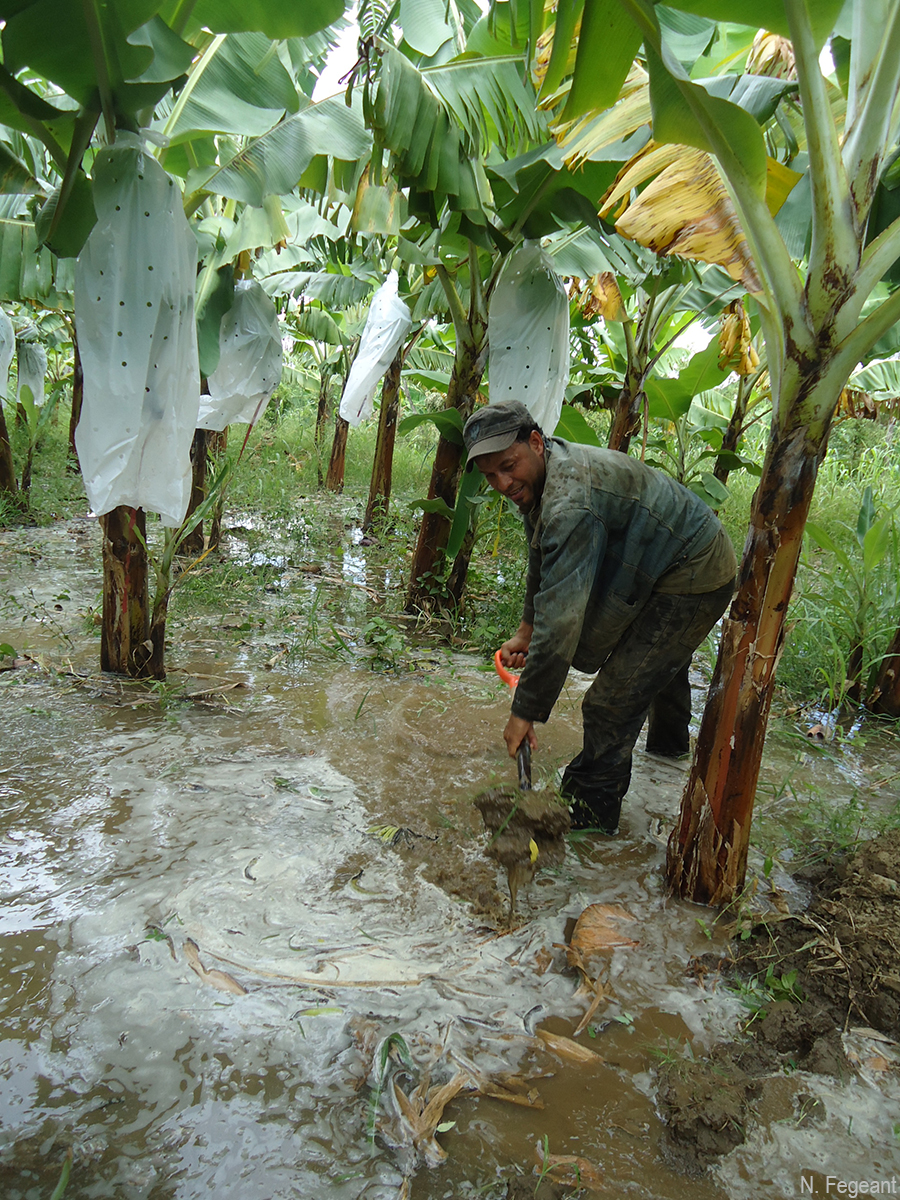 Photo by Nicolas Fégeant, UGPBAN